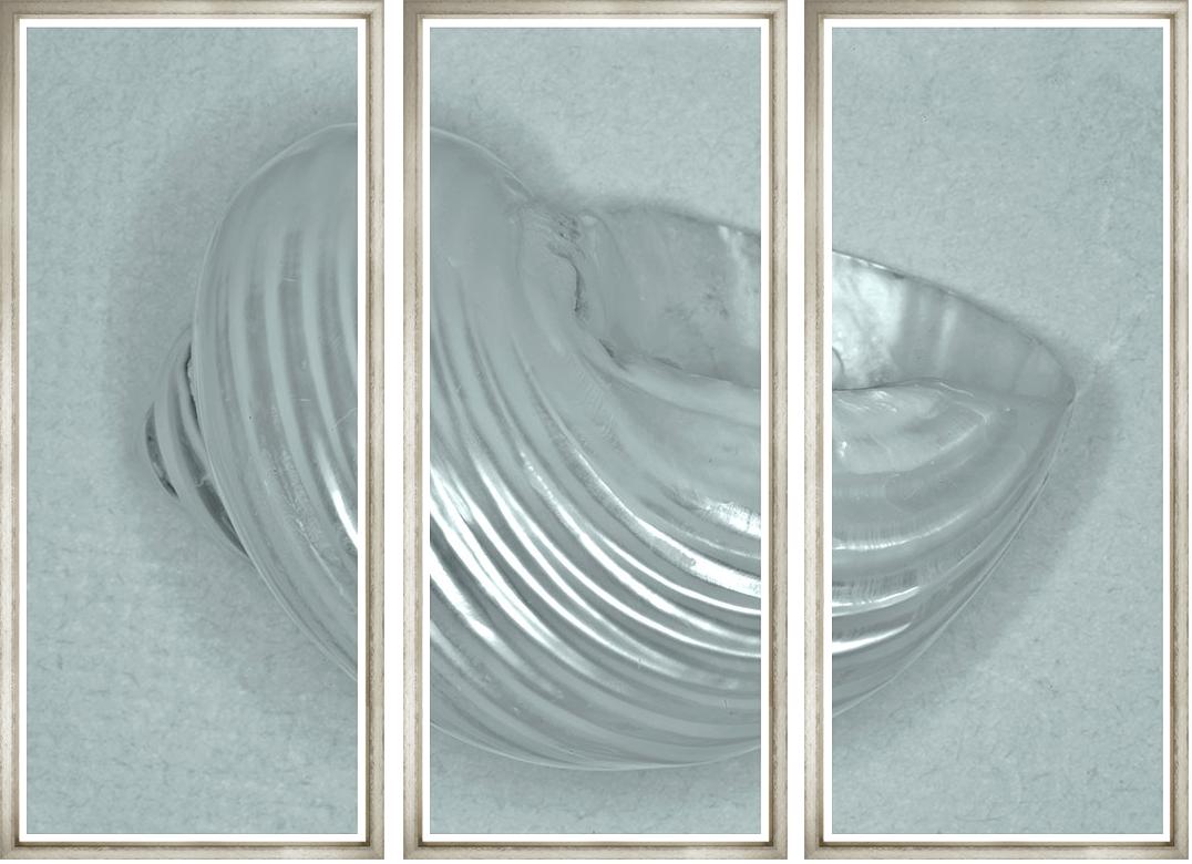 Image BWTR22-1