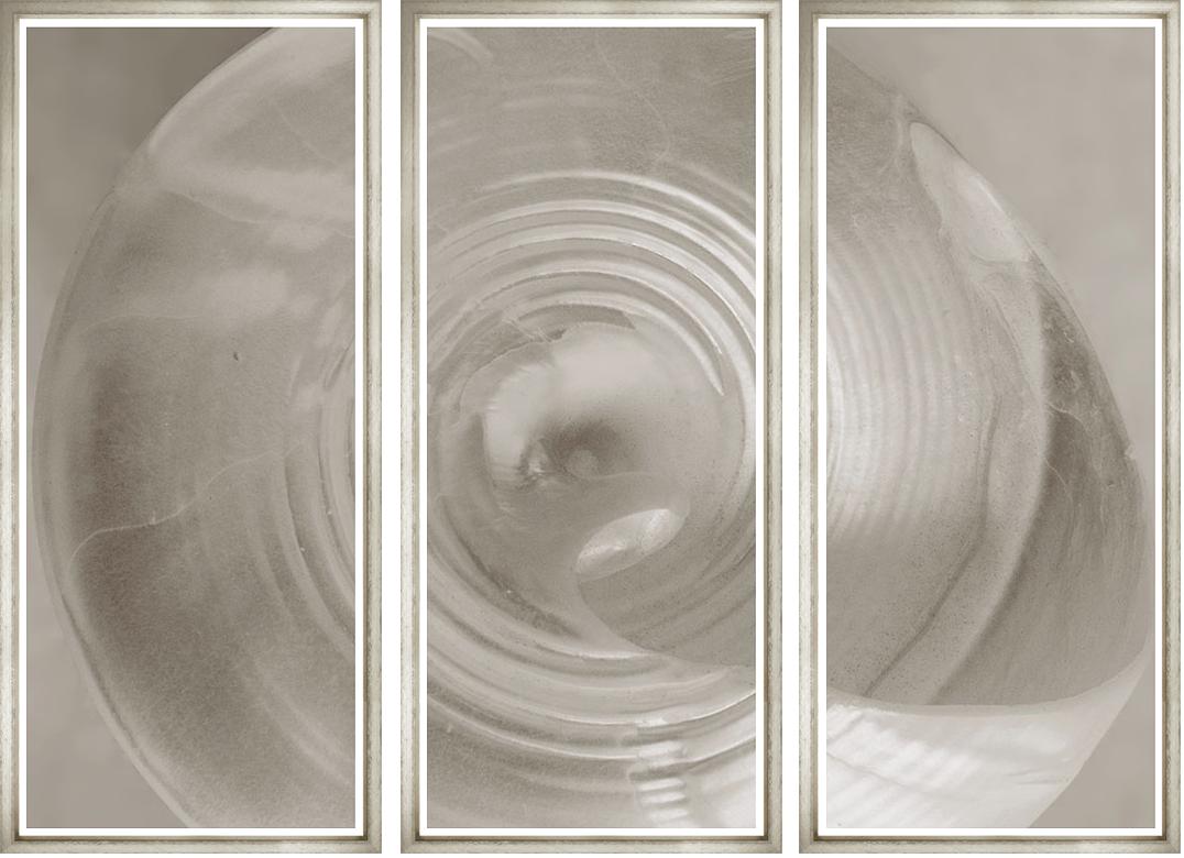 Image BWTR4-1