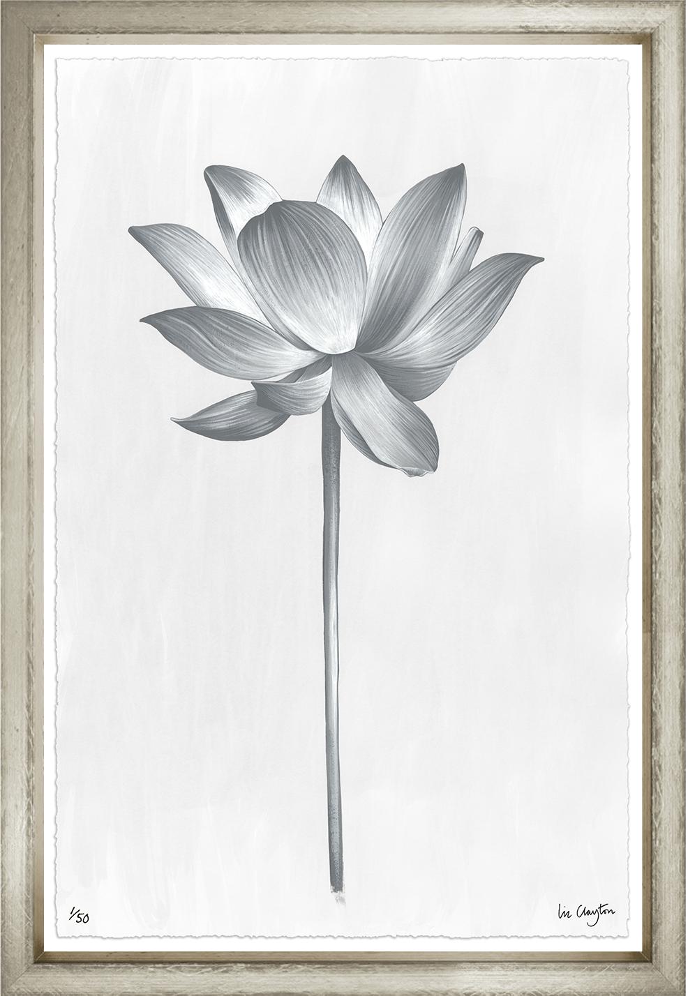 Image LIB-1