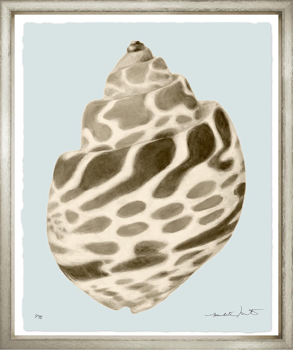 Image MMSB-1