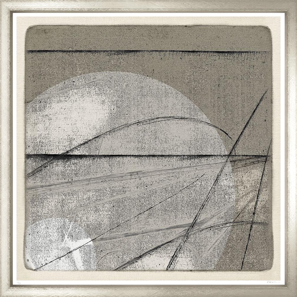 Image MSCN-1