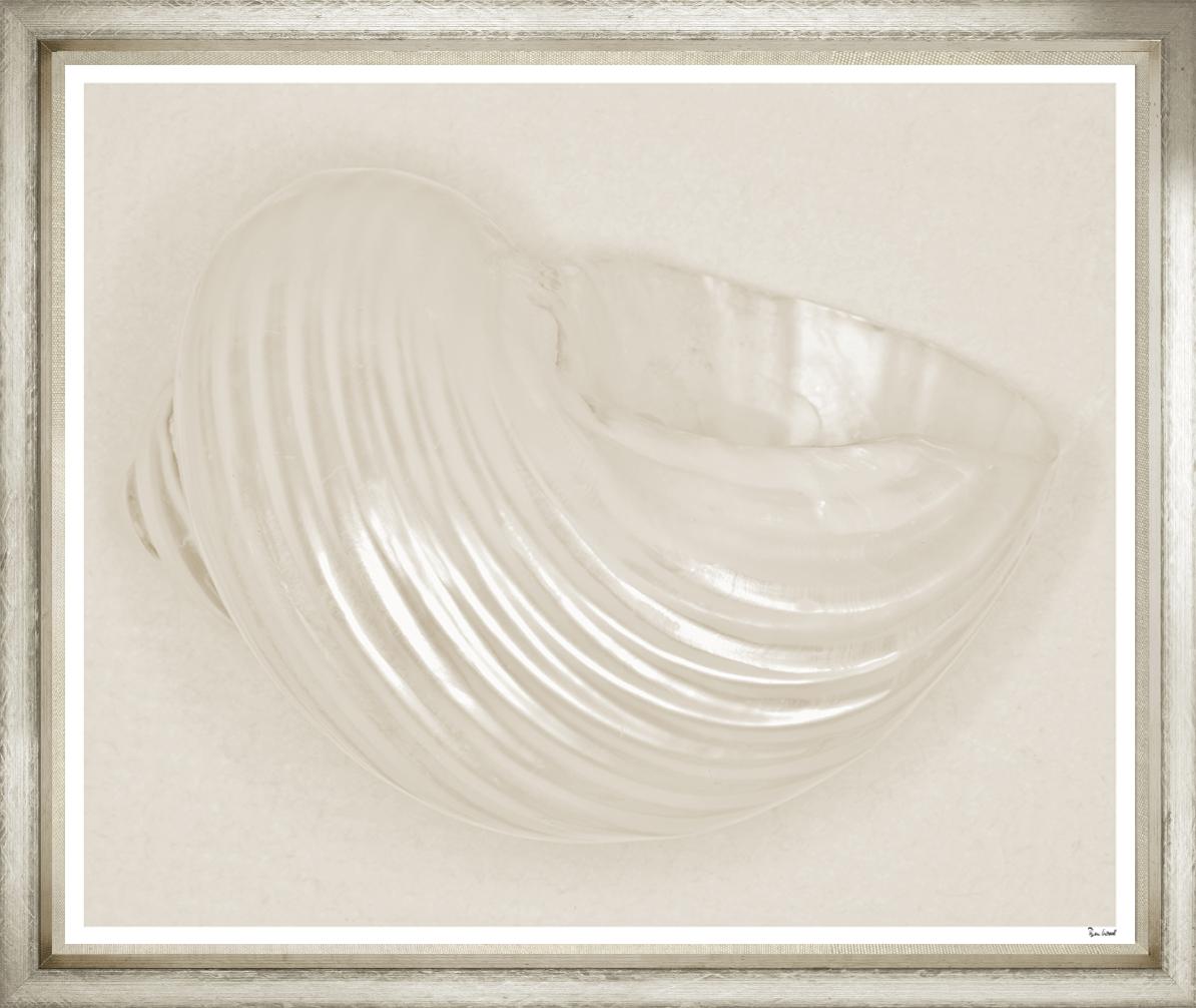 Image BWJ21-1