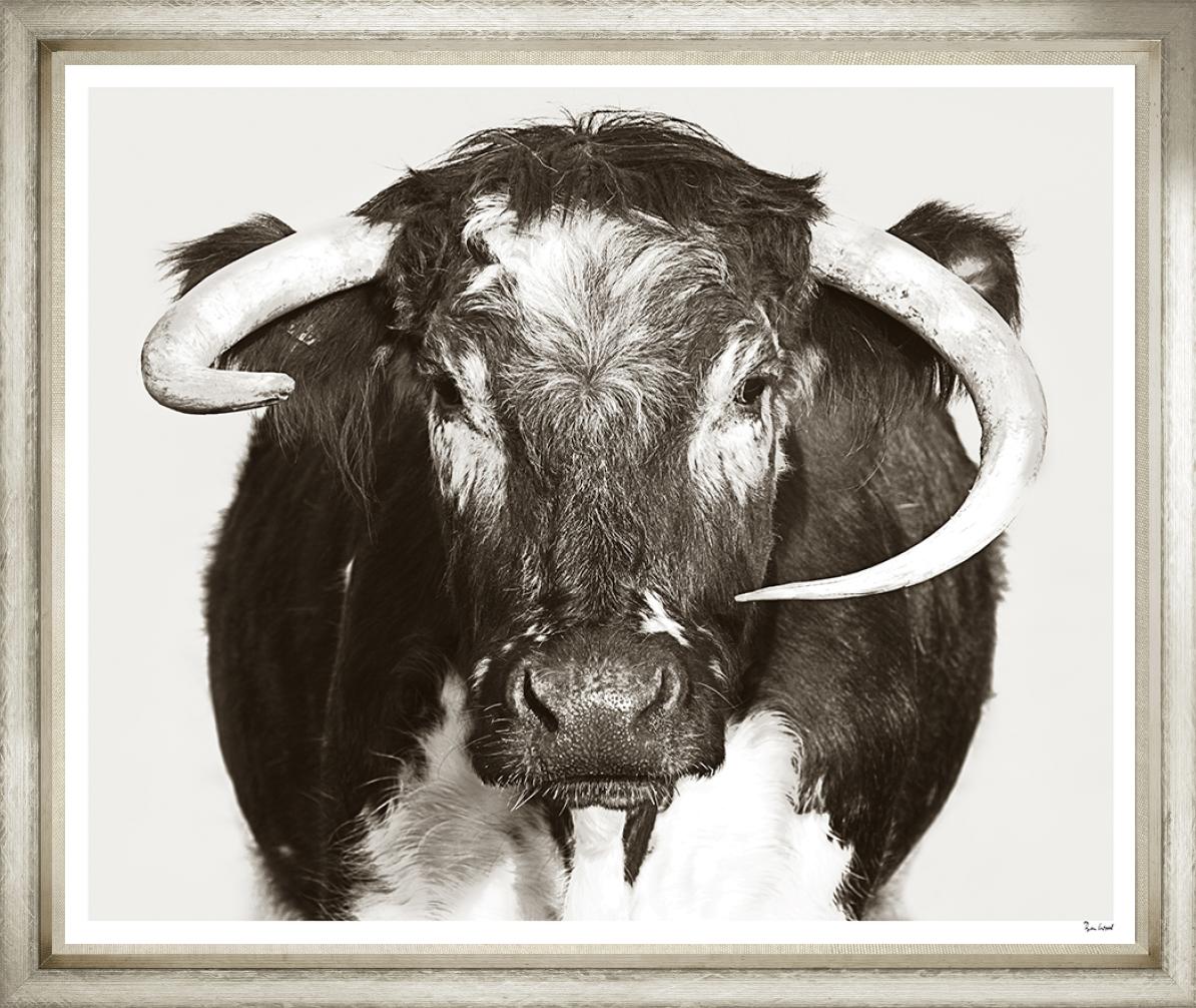 Image BWJ25-1