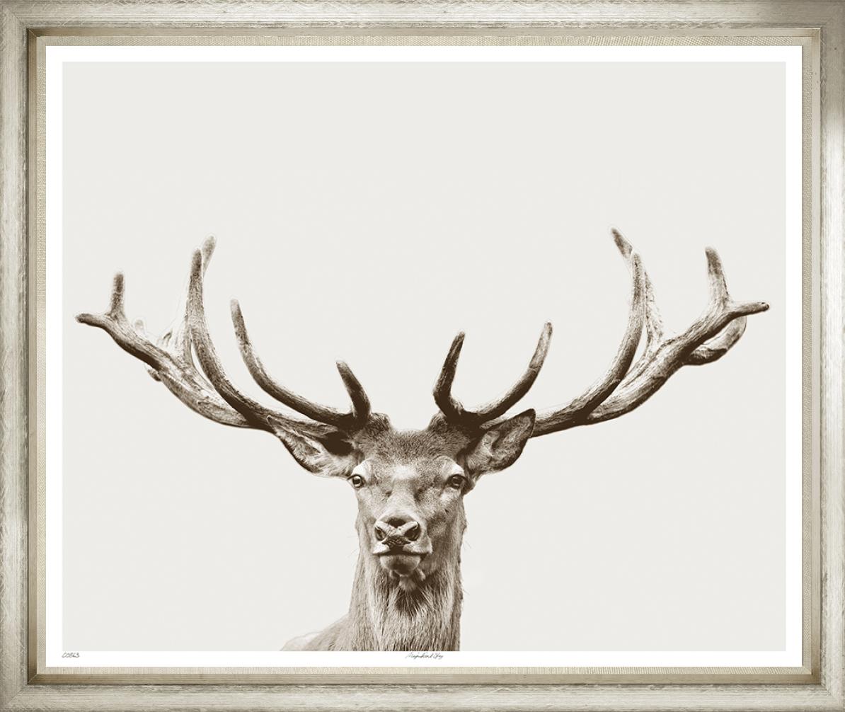 Image TL863-1
