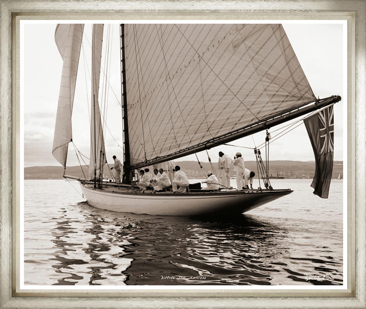 Image TLAJ-1