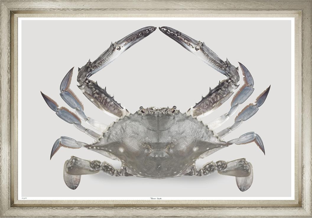 Image TNL1703-1
