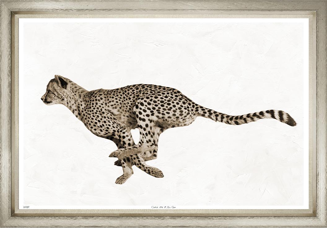 Image TNL1739-1