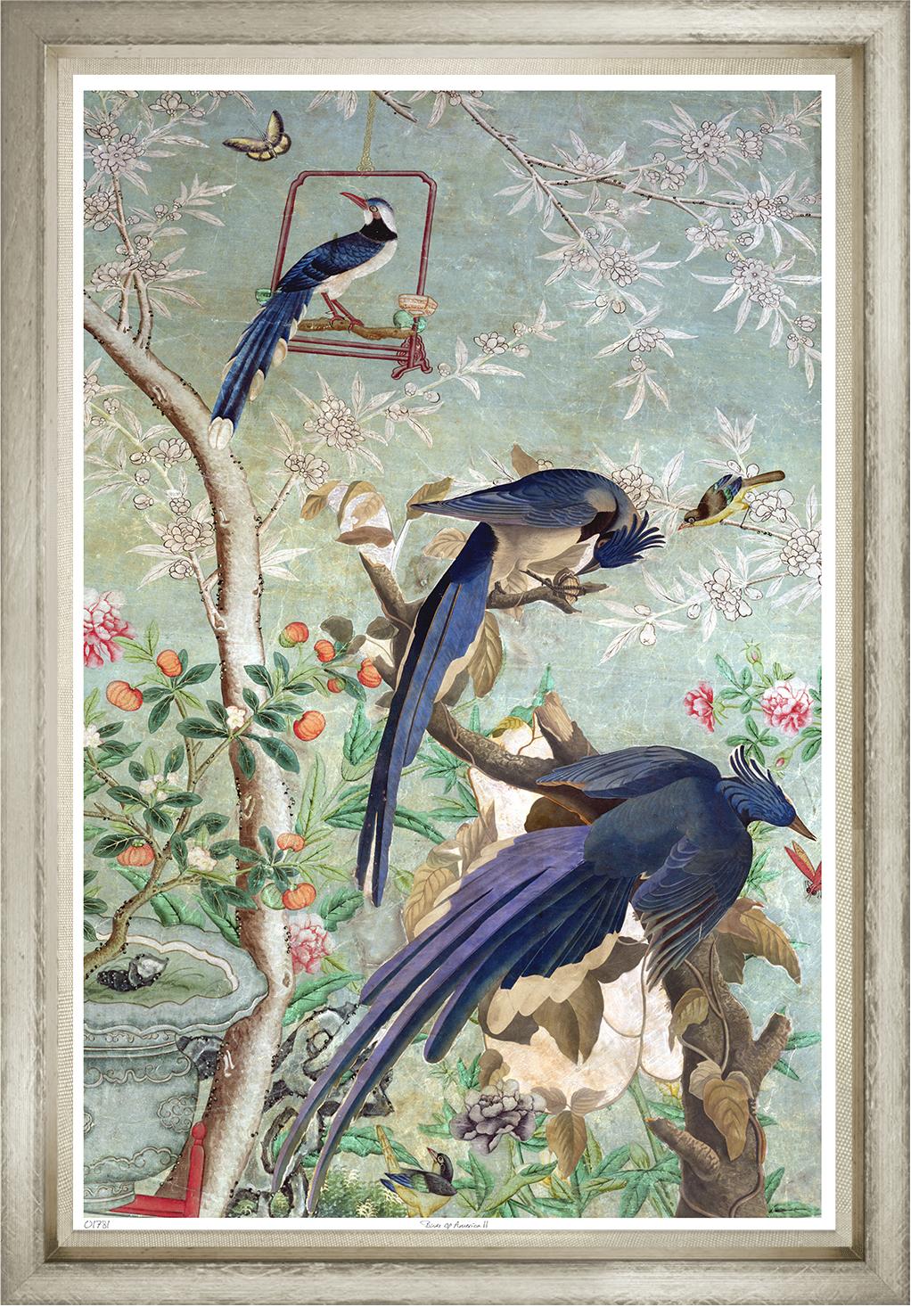 Image TNP1781-1