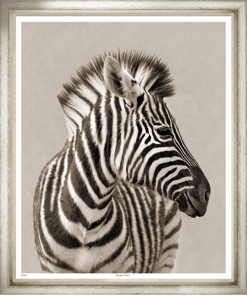 Image TP1146-1