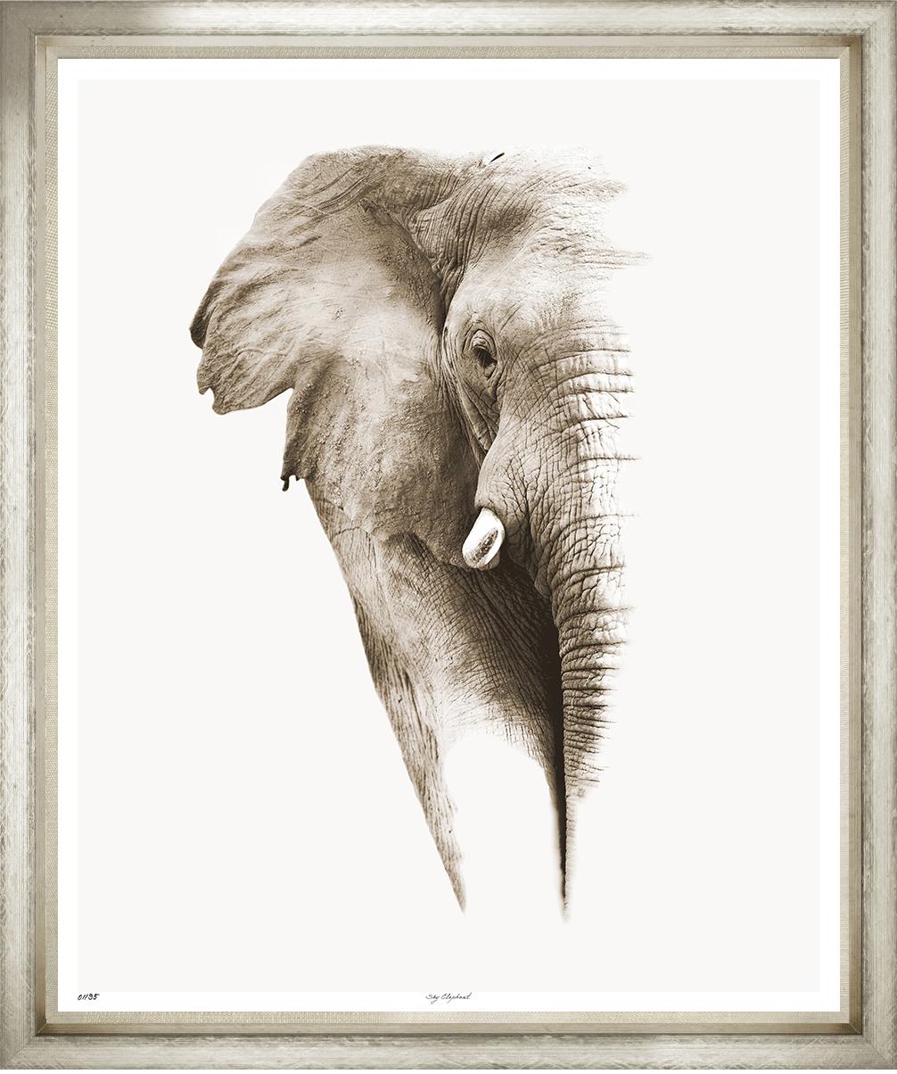 Image TP1195-1