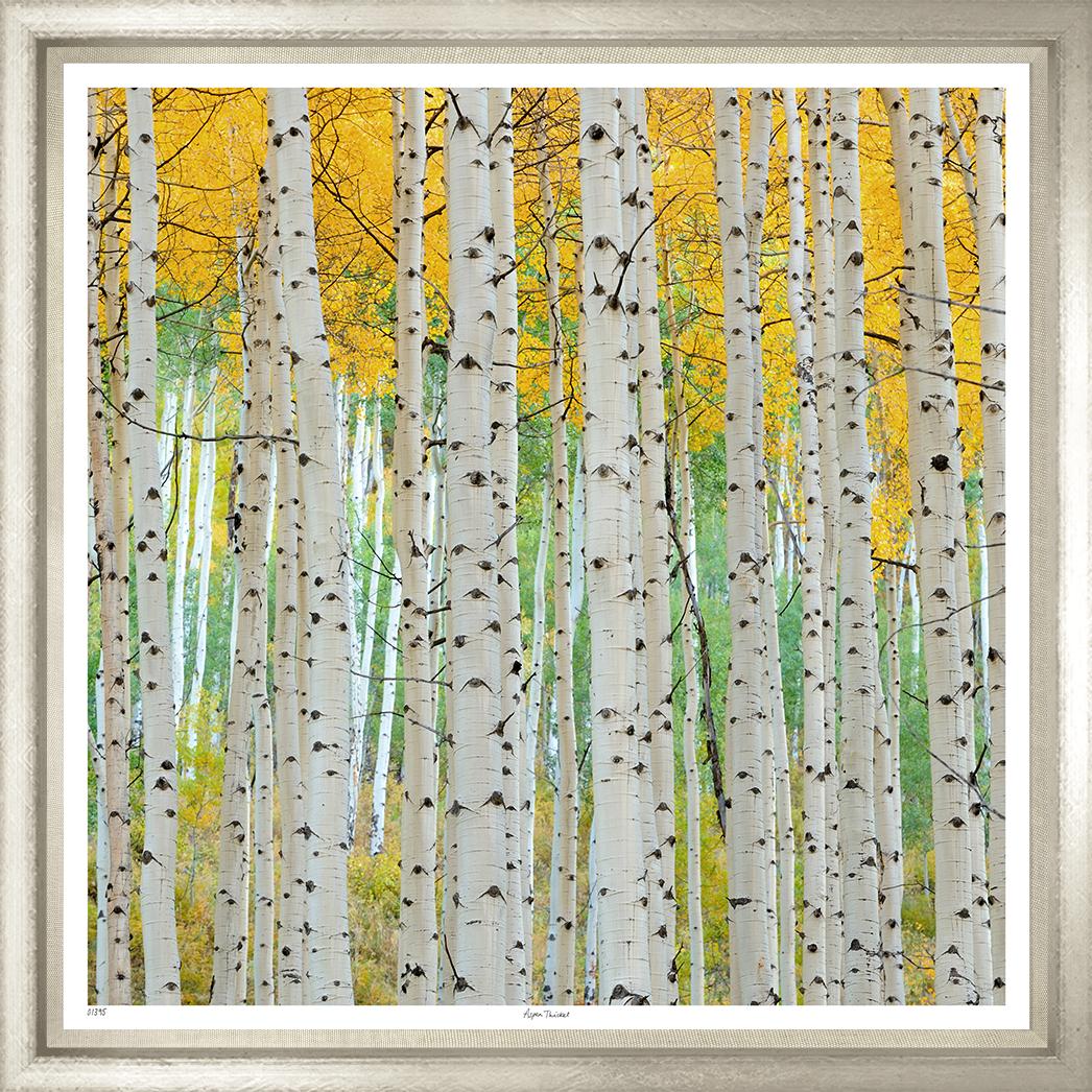 Image TS1395-1