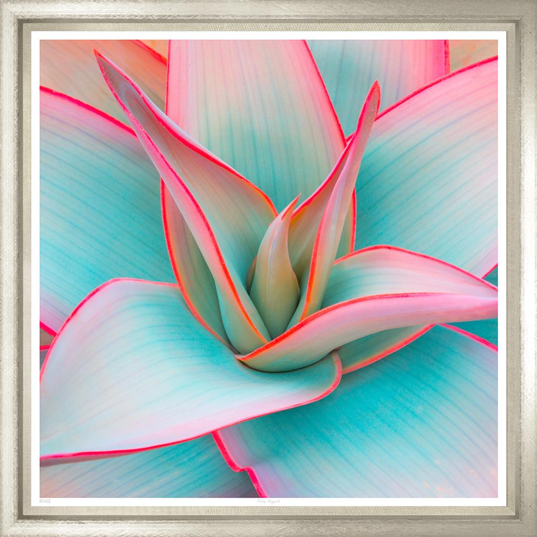 Image TS2833-1