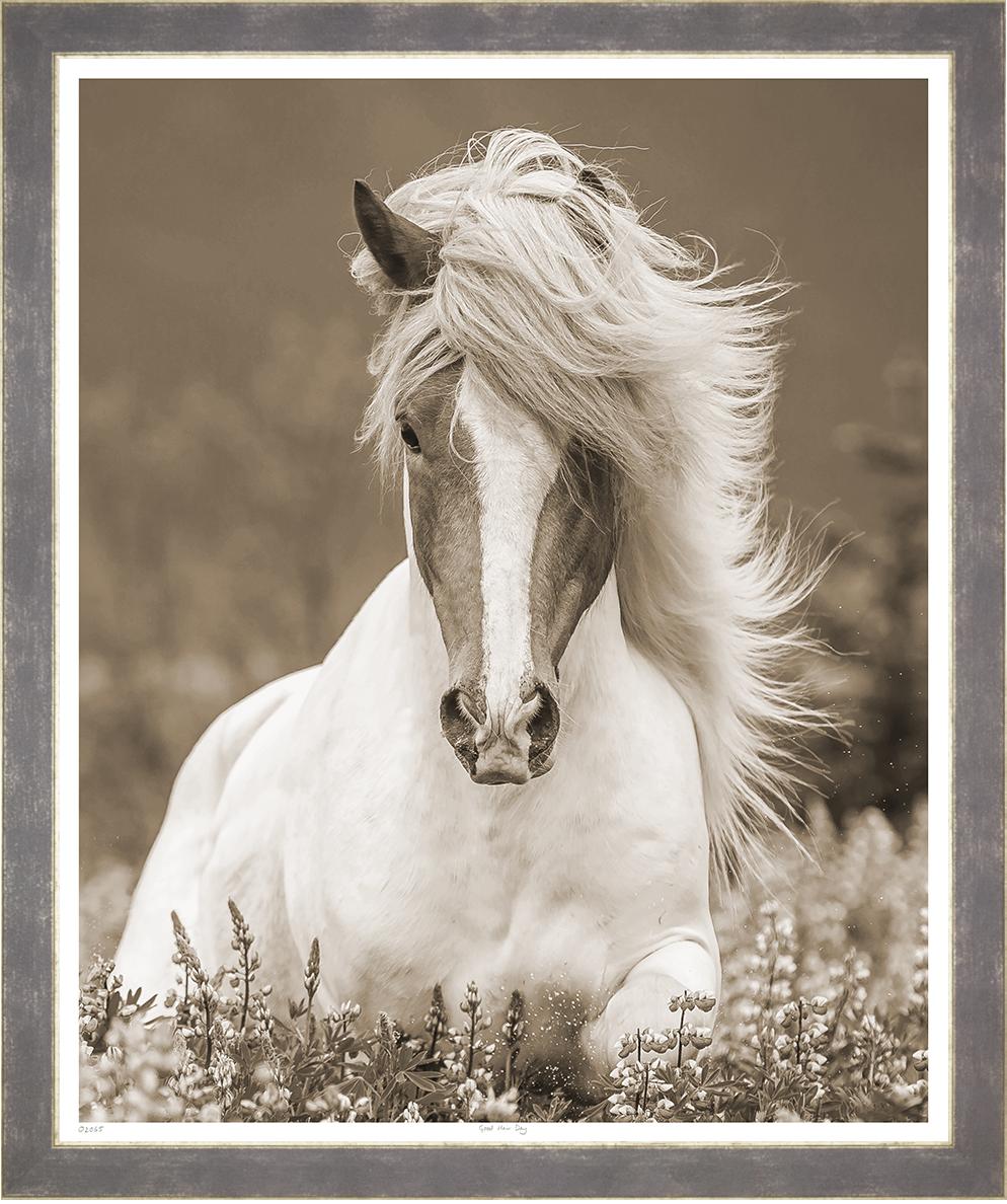 Image TP2065-1
